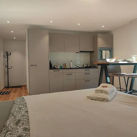 Blausee 5min / Interlaken 20min / Gratis Parkplatz Apartment